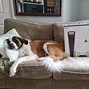 Image result for PS5 Unboxing