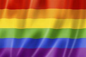 Image result for Rainbow Colors in LGBT