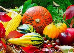 Image result for Autumn Produce