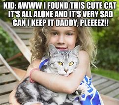 Image result for Adorable Cat Memes