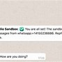 Image result for Twilio Messaging Service