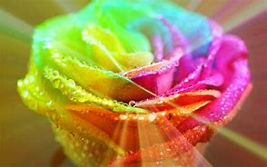 Image result for Pretty Rainbow Flower Wallpaper