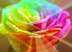 Image result for Glitter Rainbow Flowers Wallpaper