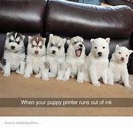 Image result for Dog Printer Meme