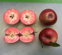 Image result for Apple with Red Flesh Inside