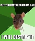 Image result for Meme Rat Eating Alone
