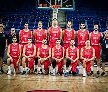 Image result for Serbia Basketball Team