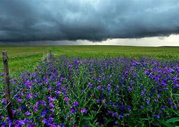 Image result for Wallpaper for Kindle Fire Spring Storms
