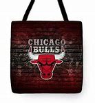Image result for NBA Basketball Chicago Bulls