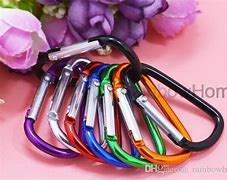 Image result for Stainless Steel Carabiner Clips