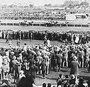 Image result for Melbourne Cup Winners