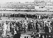 Image result for Melbourne Cup Horses