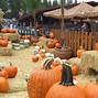 Image result for Map of Apple Hill CA