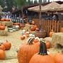 Image result for Where Is Apple Hill CA