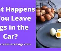 Image result for Eggs in Car Seat