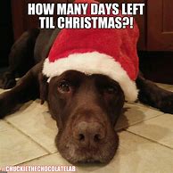 Image result for Funny Countdown to Christmas