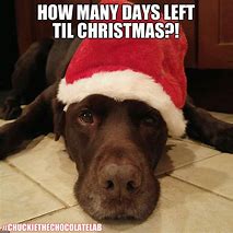 Image result for Countdown Funny Meme