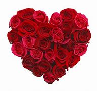 Image result for Single Rose and Heart Photo