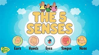 Image result for 5 Senses Symbols