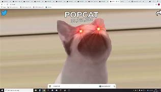 Image result for Pop CatTools