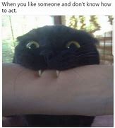 Image result for Black Cat Stance Meme