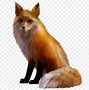 Image result for Transparent Fancy Fox