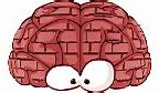 Image result for Pebble Brain