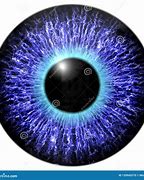 Image result for Purple Animal Eye Texture