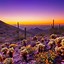 Image result for Arizona Desert Landscape