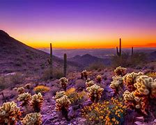 Image result for Arizona Desert Landscape Desktop Wallpaper Sunset