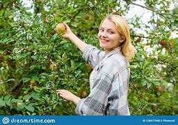 Image result for Lady with Apple