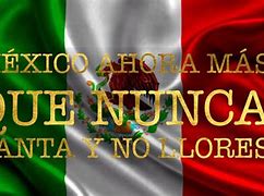 Image result for Mexican Flag Viva Mexico