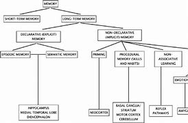 Image result for Standard Theory in Memory