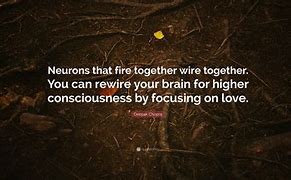 Image result for Fire and Rewire Your Brain