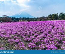 Image result for Yamanashi Japan