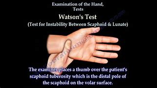 Image result for PPL with High Test Hands