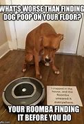 Image result for Dog Crap Memes