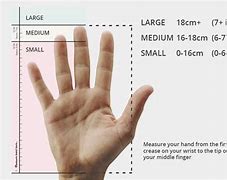 Image result for 3 Inch Finger