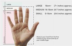 Image result for 8 Inches Compared to a Human