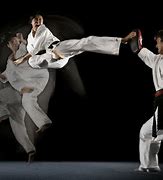 Image result for Hybrid Martial Arts Moves