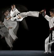 Image result for Top 5 Best Martial Arts