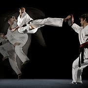 Image result for Martial Arts Fighting