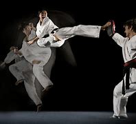 Image result for The Best Martial Arts