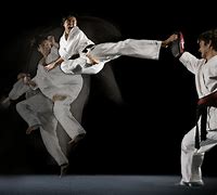 Image result for Martial Arts Techniques