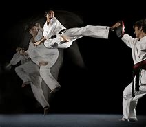 Image result for Martial Arts Actors