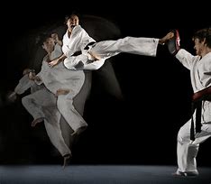 Image result for Martial Arts Fighting