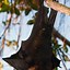 Image result for Pygmy Fruit-Eating Bat