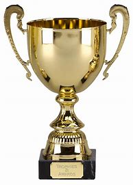 Image result for Cricket Trophies