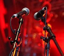 Image result for Microphone Accessories