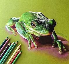 Image result for Frog Pencil Sketches